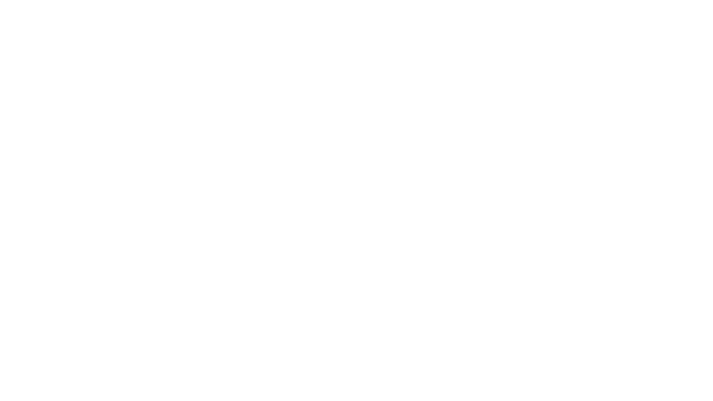 Shires Logo